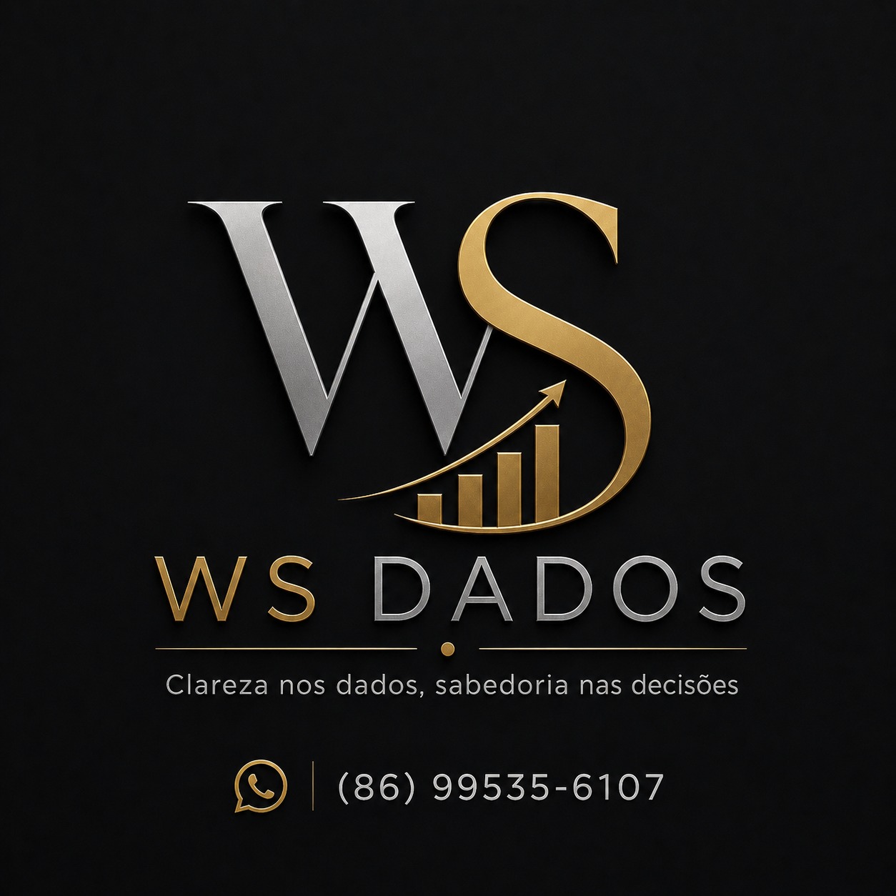 WS DADOS- Seu negocio na internet, mas clientes para voce
